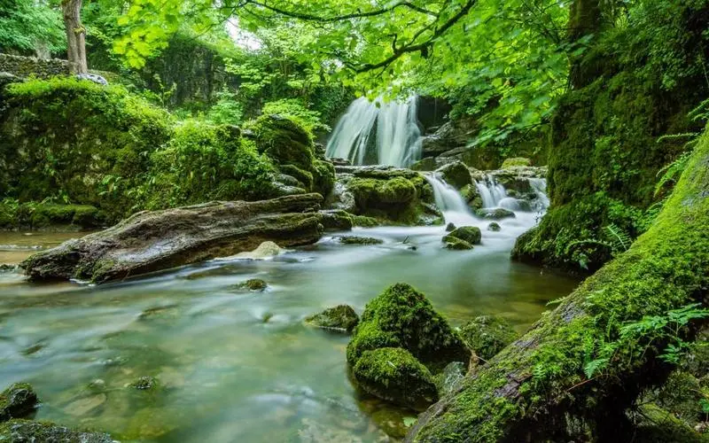高性能独特